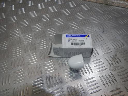 Фотография Крышка ручки двери, Renault (Рено)-Latitude