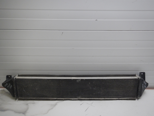 Фотография Интеркулер, Voyah (Воях)-FREE (21-)