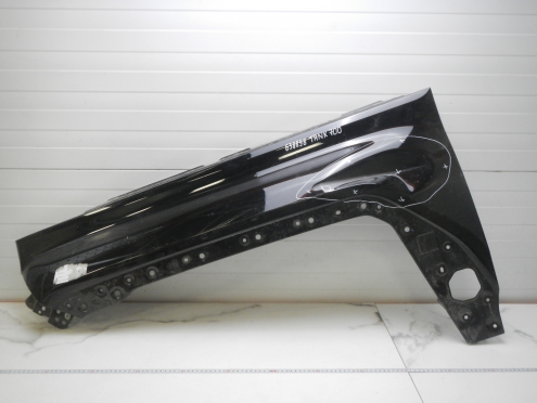 Фотография Крыло переднее левое, Tank (Танк)-700 (24-)